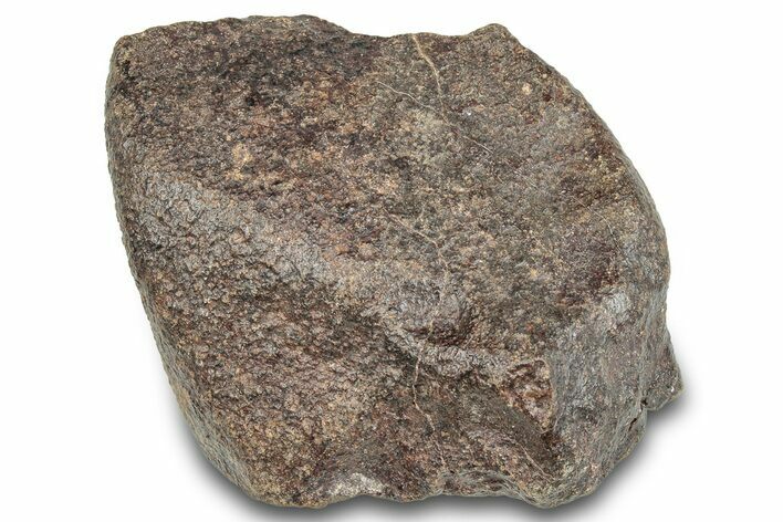 Chondrite Meteorite ( g) - Western Sahara Desert #285371